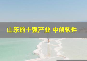 山东的十强产业 中创软件